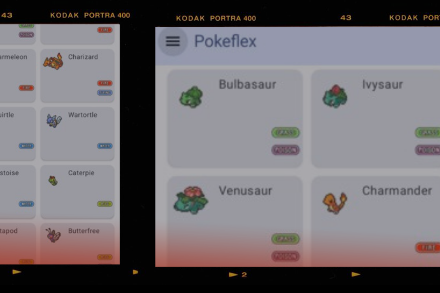 Pokéflex